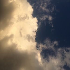 Meet your Posher, Areli